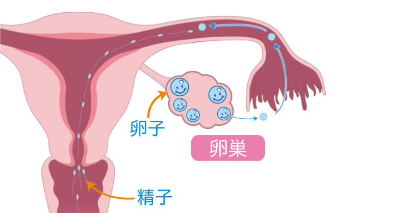 sDÁ`悢EĂ邽߂Ɋł邱Ɓ`